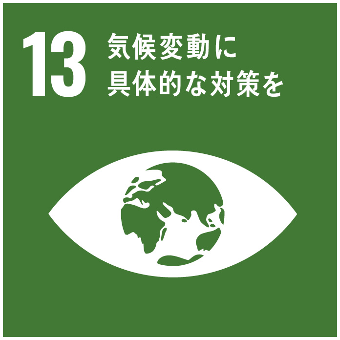 sdgs_13